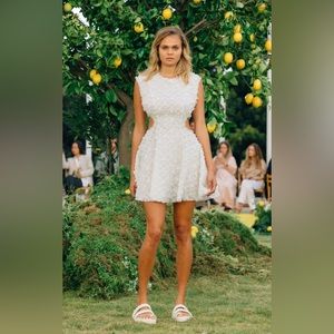 Aje Mirage Embellished Cutout Organza Mini Dress
